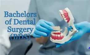 Bachelor of Dental Surgery (BDS)